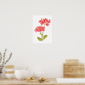 Epidendrum radicalen oranje grondwater poster (Keuken)