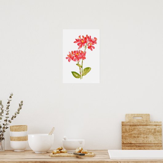 Epidendrum radicalen oranje grondwater poster (Keuken)
