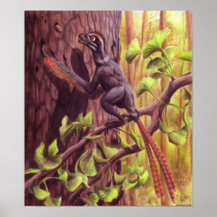 Epidexipteryx afdrukken poster
