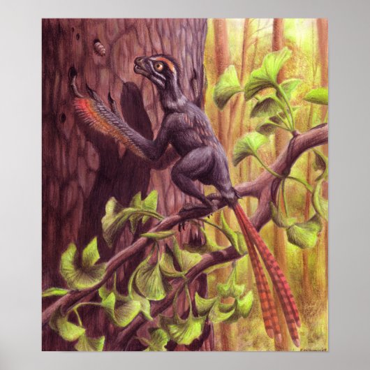 Epidexipteryx afdrukken poster (Voorkant)