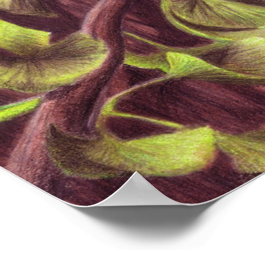 Epidexipteryx afdrukken poster (Hoek)