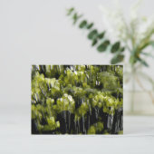 Epidote Briefkaart (Staand voorkant)