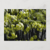 Epidote Briefkaart (Voorkant)