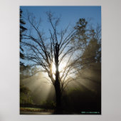 Epifany Tree Poster (Voorkant)