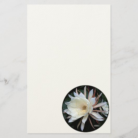 Epifyt Cactus Bloem Briefpapier (Voorkant)