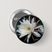Epifyt Cactus Bloem Ronde Button 5,7 Cm (Voorkant /achterkant)
