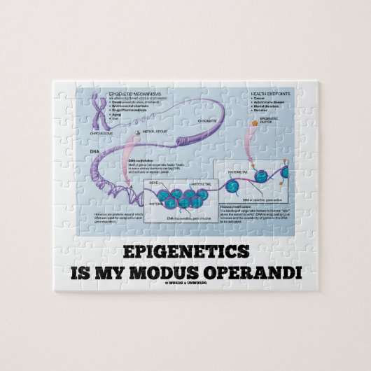 Epigenetics is mijn Modus Operandi (Mechanismen) Legpuzzel (Horizontaal)