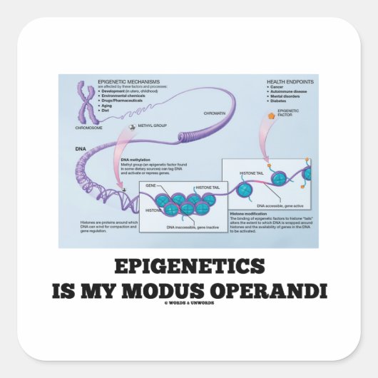 Epigenetics is mijn Modus Operandi (Mechanismen) Vierkante Sticker (Voorkant)