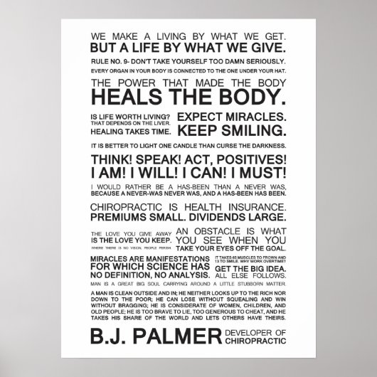 Epigrams en offertes van B.J. Palmer Poster (Voorkant)