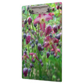  Epimedium (Fairy Wings) Vloerlentfoto Klembord (Links)