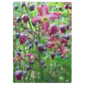  Epimedium (Fairy Wings) Vloerlentfoto Klembord (Achterkant)