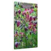  Epimedium (Fairy Wings) Vloerlentfoto Klembord (Rechts)