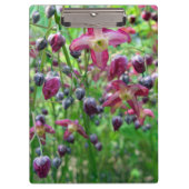  Epimedium (Fairy Wings) Vloerlentfoto Klembord (Voorkant)