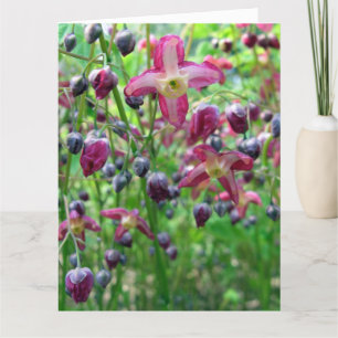 Epimedium Flowers Big Birthday Card Kaart