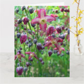 Epimedium Flowers Grote Verjaardag Kaart (Gele Bloem)