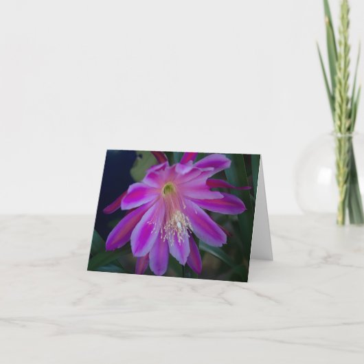Epiphyllum blanco kaart (Voorkant)