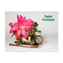  Epiphyllum Christmas Post Kaart