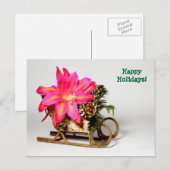  Epiphyllum Christmas Post Kaart (Voorkant / Achterkant)