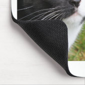 Episch advies van een kat motivatie slogan tijd muismat (Hoek)