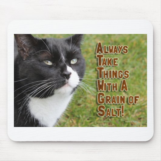 Episch advies van een kat motivatie slogan tijd muismat (Voorkant)