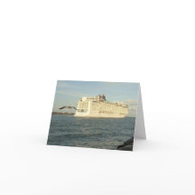 Epische achtervolging - Vogel- en cruiseschip blan