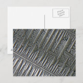 Epsomiet onder de microscoop briefkaart (Voorkant / Achterkant)