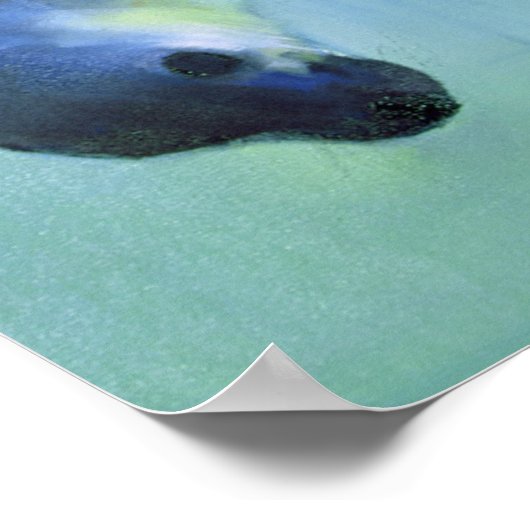 Equally fascinating 2003 poster (Hoek)