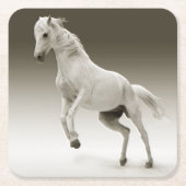 Equestrian White Mare Horse Kartonnen Onderzetters (Voorkant)