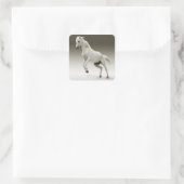 Equestrian White Mare Horse Vierkante Sticker (Tas)