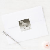 Equestrian White Mare Horse Vierkante Sticker (Envelop)