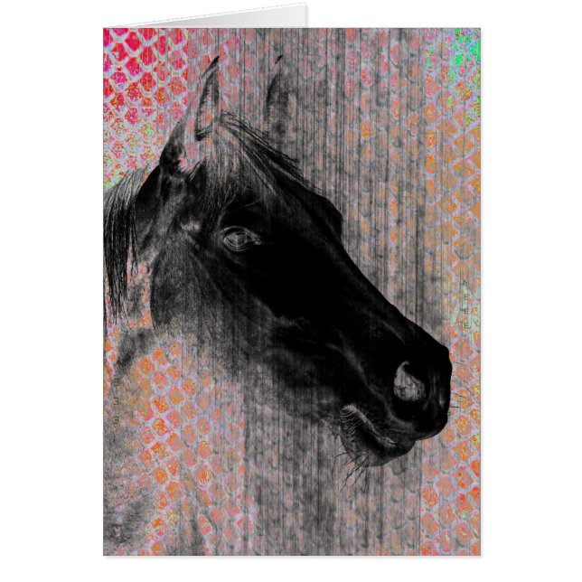 Equine 2 (Voorkant)