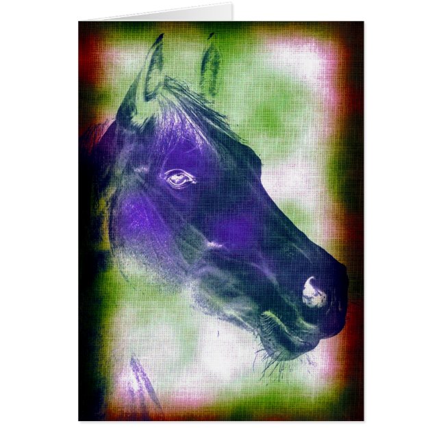 Equine 3 (Voorkant)