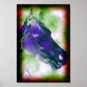 Equine 3 poster (Voorkant)