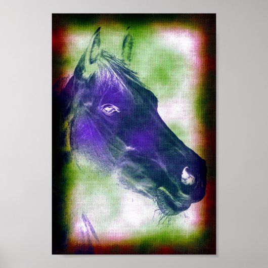 Equine 3 poster (Voorkant)