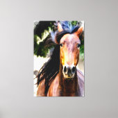 *~* Equine AR22 Zwart Mane Paard Art Canvas Print (Voorkant)