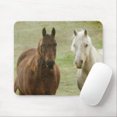 Equine Buddies Muismat (Met muis)