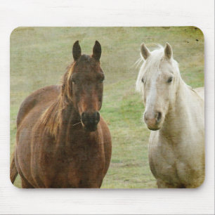 Equine Buddies Muismat