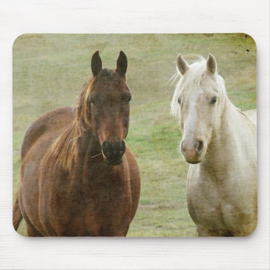 Equine Buddies Muismat (Voorkant)