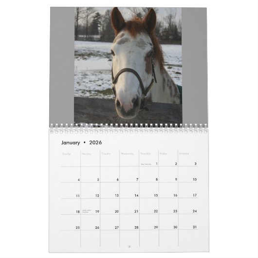 Equine Calendar Kalender (Jan 2026)