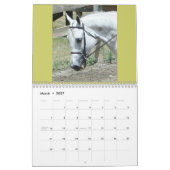 Equine Calendar Kalender (Mar 2027)