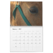 Equine Calendar Kalender (Feb 2027)