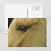 Equine Eye Briefkaart (Voorkant / Achterkant)