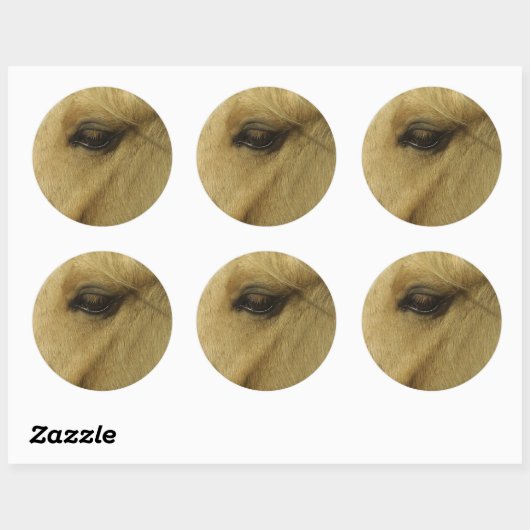 Equine Eye Ronde Sticker (Vel)