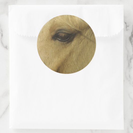 Equine Eye Ronde Sticker (Tas)