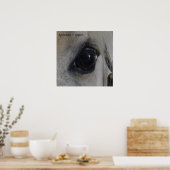 Equine Eyes — Lippizan Poster (Keuken)