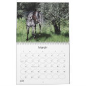 Equine Fantasy in 2013 Kalender (Mar 2026)