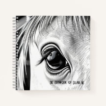 Equine Gaze  - Spiraal Schetsboek