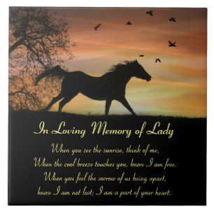 Equine Horse Memorial Aangepaste naam Spiritueel g Tegeltje