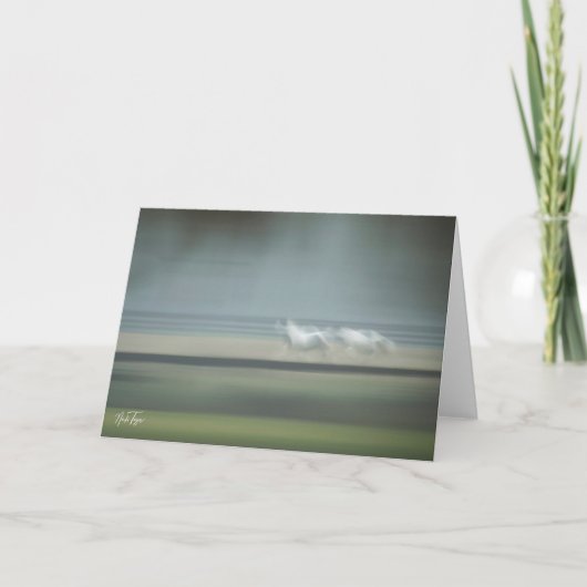 Equine Illusions-notitiekaart Bedankkaart (Voorkant)