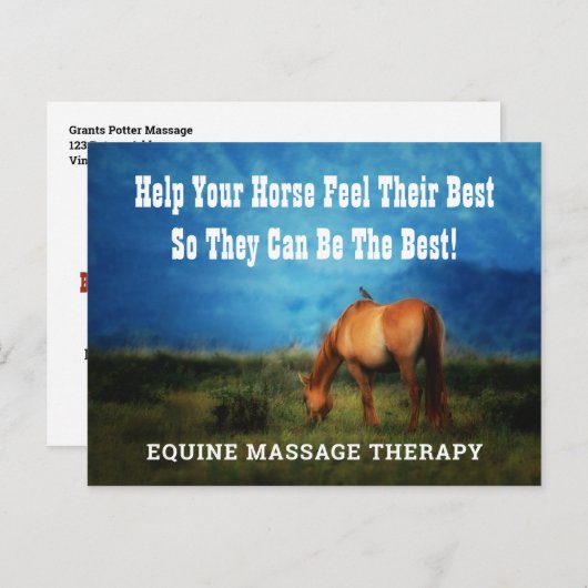 Equine Massage Therapist Horse Business Mailer Briefkaart (Voorkant / Achterkant)